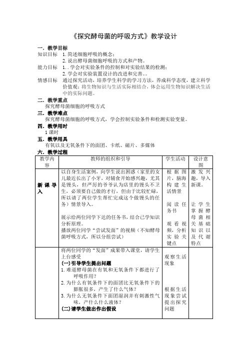 探索酵母菌的呼吸方式教案