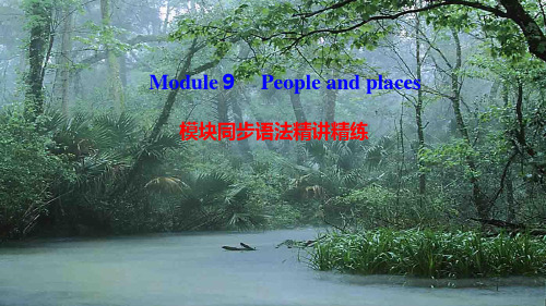 七年级英语 module9 peopleandplaces模块同步语法精讲精练外研外研级英语