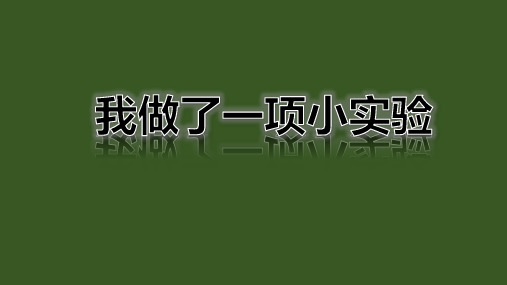 部编版三年级下册语文课件-习作四 我做了一项小实验 (共17张PPT)