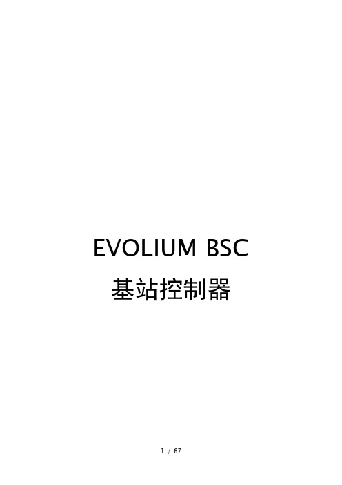 BSC中文版