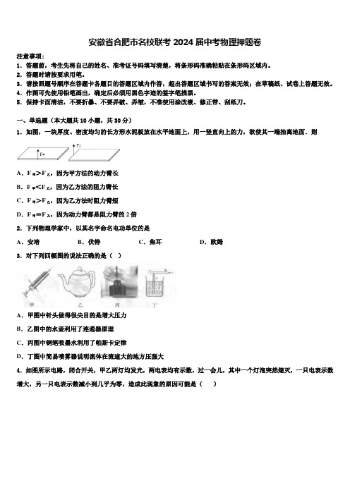 安徽省合肥市名校联考2024届中考物理押题卷含解析