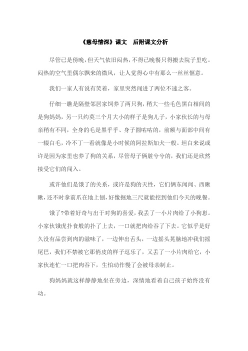 《慈母情深》课文和课文分析