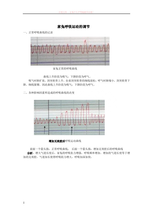 家兔呼吸运动的调节实验报告及结果分析