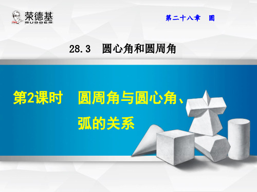  圆周角与圆心角、弧的关系 