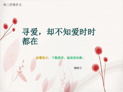 初三抒情作文《寻爱,却不知爱时时都在》900字(总12页PPT)