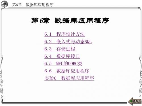 数据库系统基础、设计及应用第6章