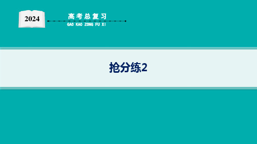 2024年高考数学二轮复习压轴大题抢分练2