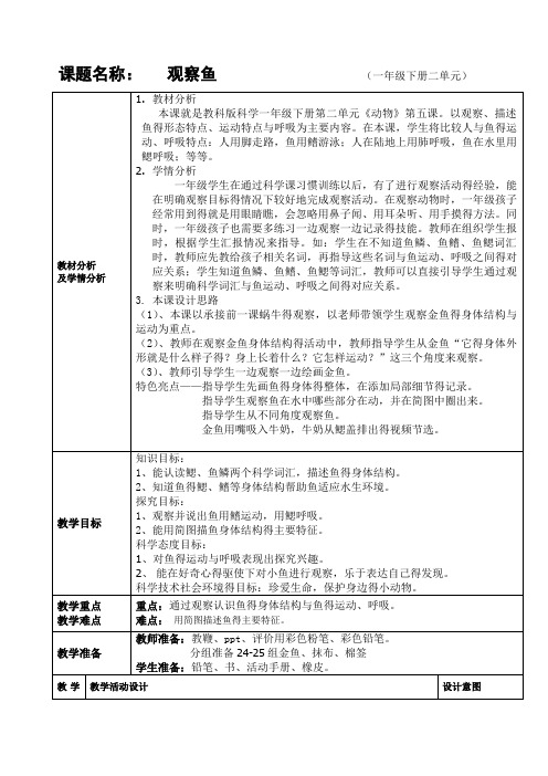 《观察鱼》教学设计 (2)