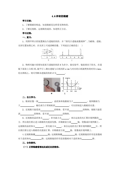 4.6神奇的眼睛导学案   2021-2022学年教科版物理八年级上册