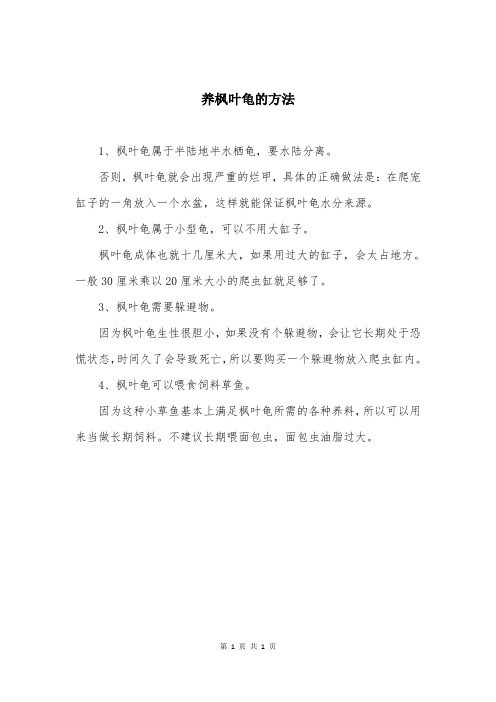 养枫叶龟的方法