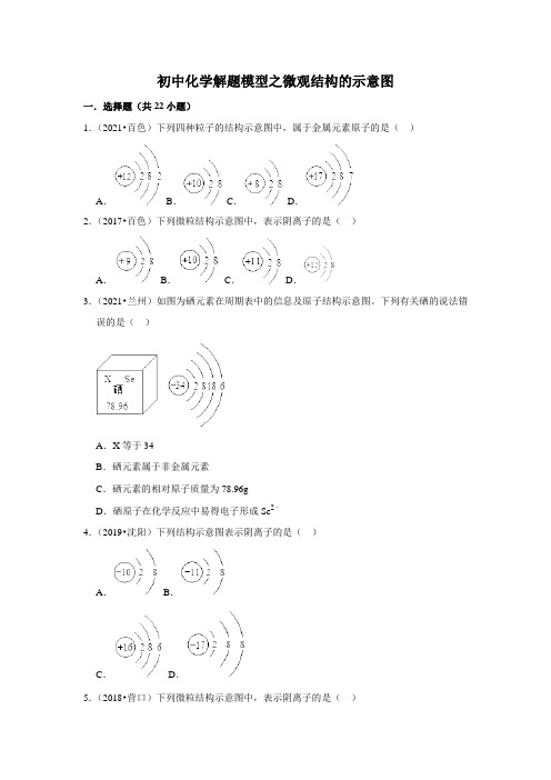 2022年初中化学解题模型之微观结构的示意图(含答案)