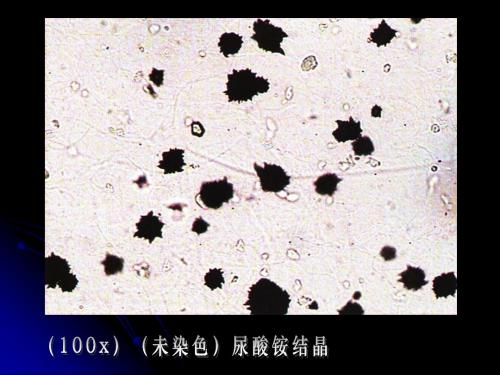 尿液沉渣彩色图普(226-270)