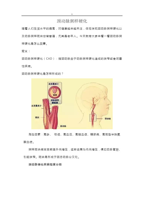 颈动脉粥样硬化