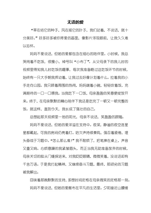 初三作文:无语的爱作文800字