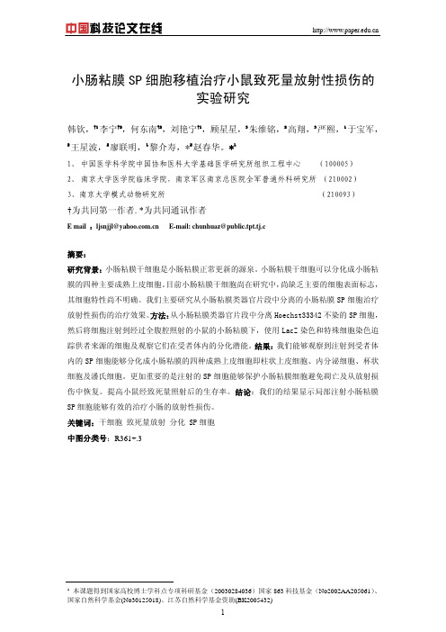 小肠粘膜SP细胞移植治疗小鼠致死量放射性损伤的实验研究