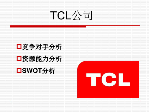 TCL 网络营销环境分析