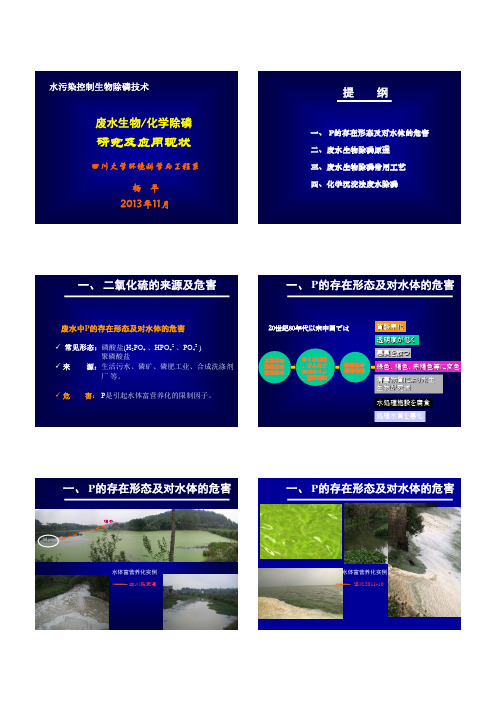 7-2废水除磷技术