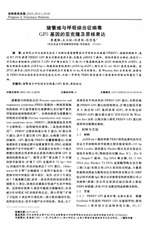 猪繁殖与呼吸综合征病毒GP5基因的亚克隆及原核表达