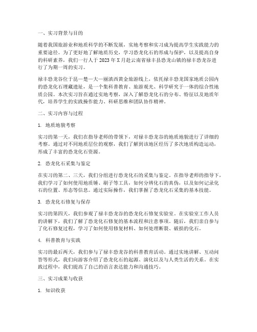 禄丰恐龙谷实习报告