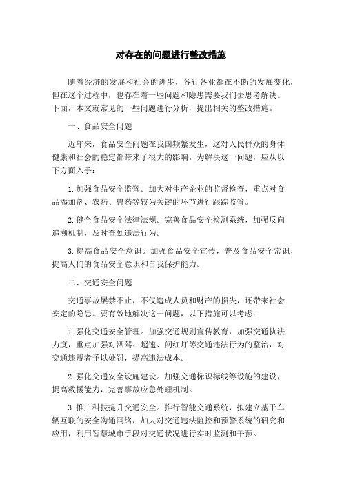 对存在的问题进行整改措施