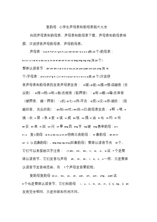 复韵母小学生声母表和韵母表图片大全.doc