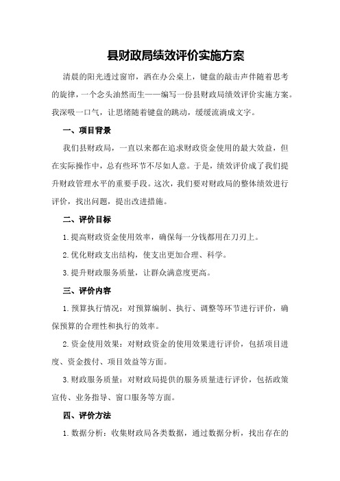 XX县财政局绩效评价实施方案