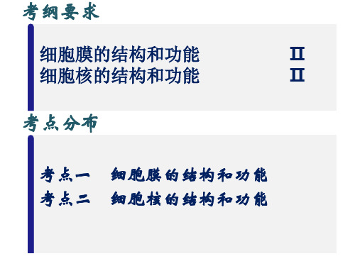 2.1 细胞膜和细胞核(共47张PPT)