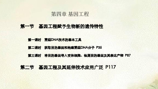 2021新编课件浙科版高中生物选择性必修3第四章基因工程教学课件