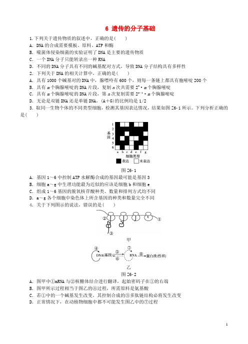 (完整word)高考生物二轮复习专题限时集训遗传的分子基础讲义