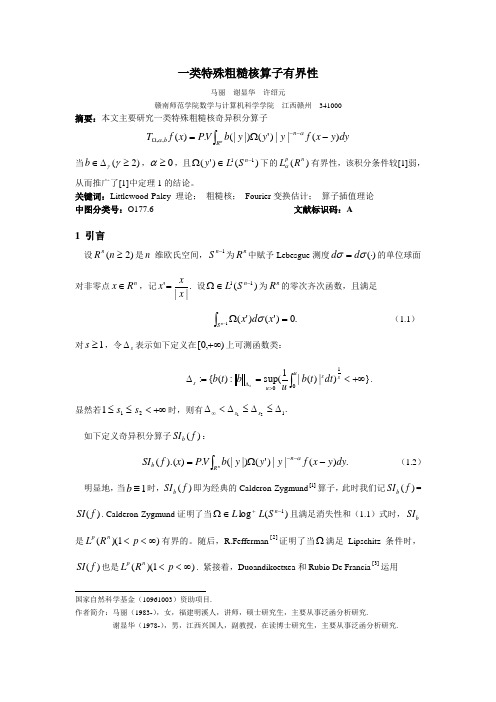 一类特殊粗糙核算子有界性