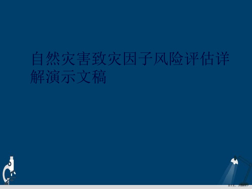 自然灾害致灾因子风险评估详解演示文稿