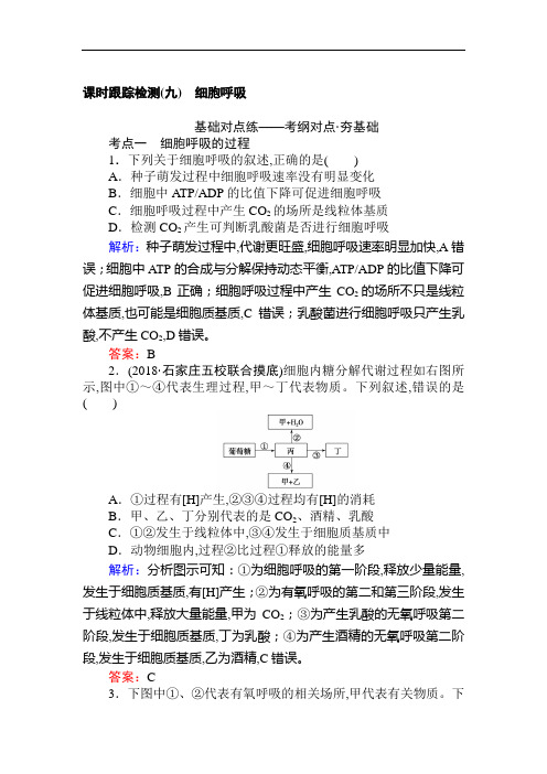 2019版高考生物一轮复习方略课时跟踪检测：第三单元 细胞的能量供应和利用(九) Word版含解析