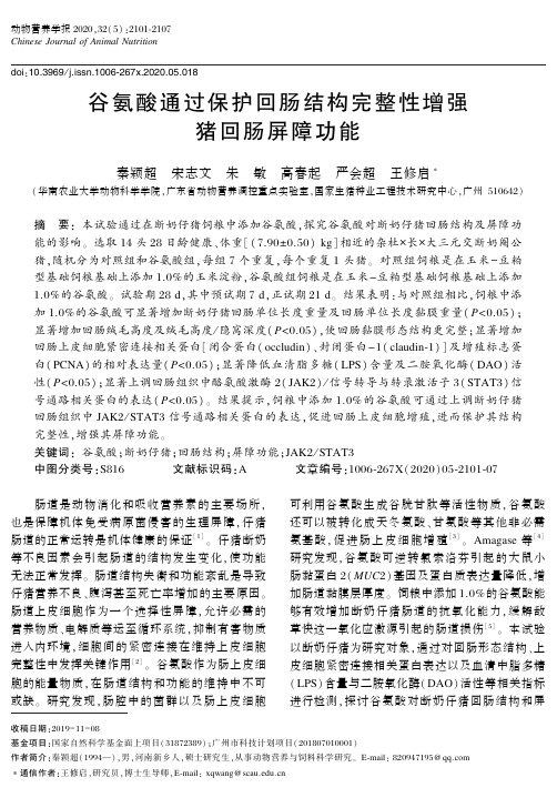 谷氨酸通过保护回肠结构完整性增强猪回肠屏障功能