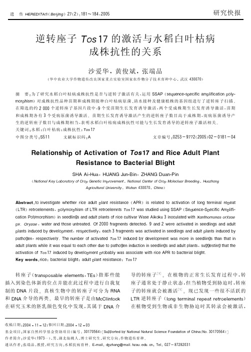 逆转座子Tos17的激活与水稻白叶枯病成株抗性的关系