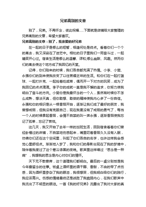 兄弟离别的文章