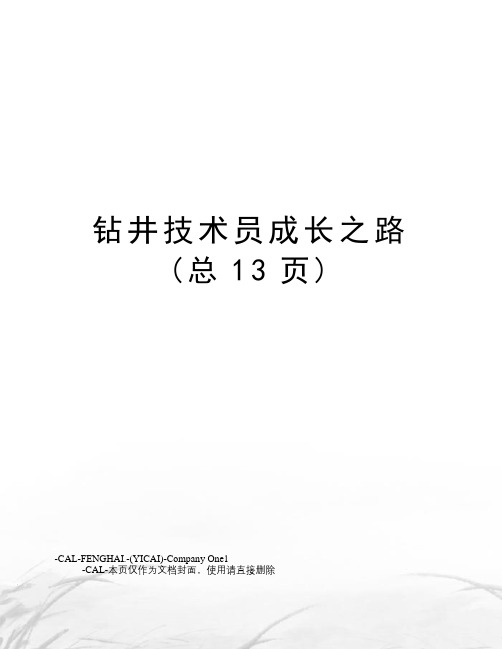 钻井技术员成长之路(总13页)