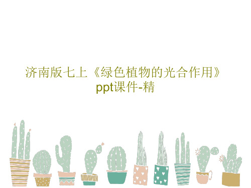 济南版七上《绿色植物的光合作用》ppt课件-精共20页PPT