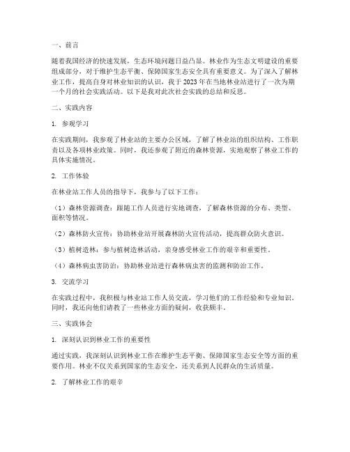 林业站社会实践报告