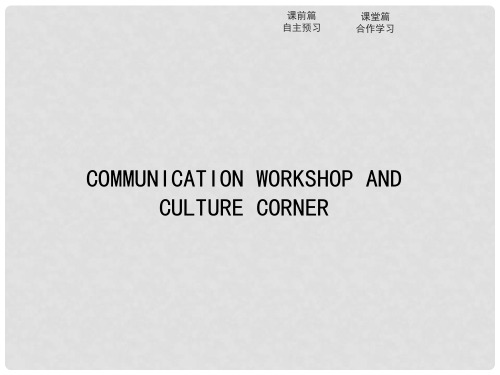 高中英语 Unit 8 Adventure Communication Workshop a