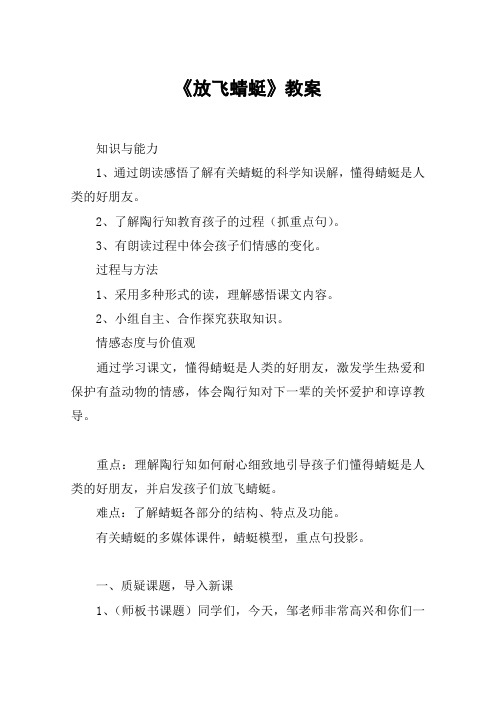 《放飞蜻蜓》教案_教案教学设计