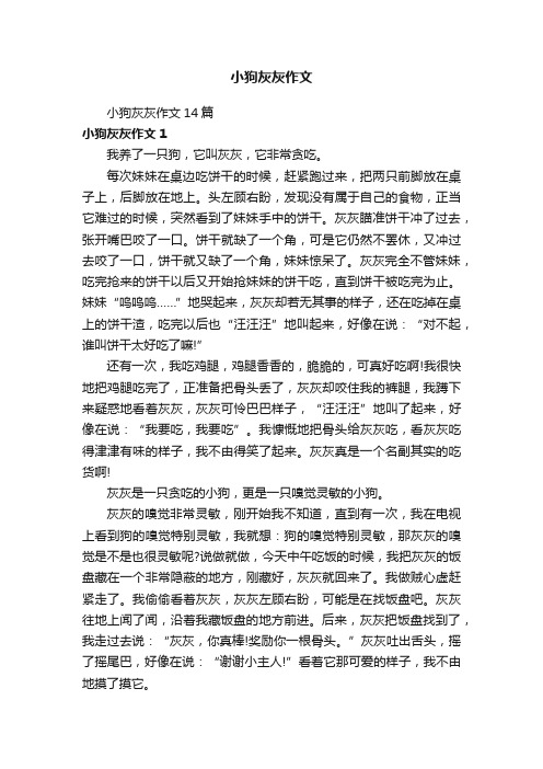 小狗灰灰作文14篇