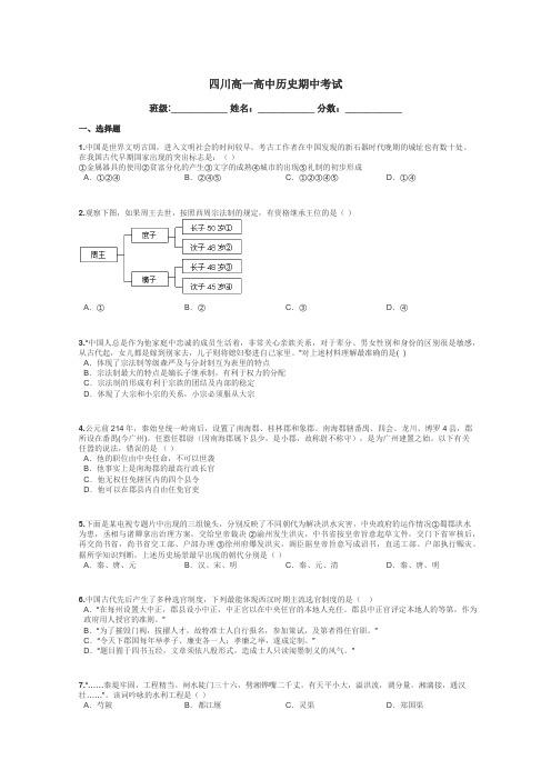 四川高一高中历史期中考试带答案解析
