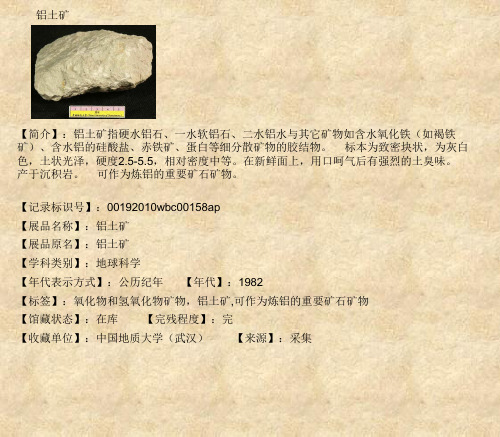 铝土矿-大学数字博物馆