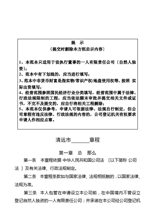 设执行董事的一人有限责任公司章程