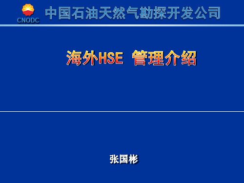 海外石油化工HSE项目 管理