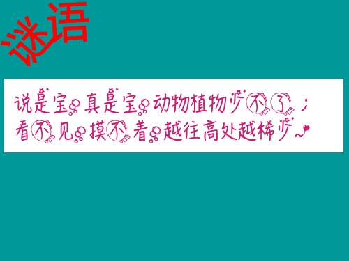 人教版(五四制)八年级全册化学   实验活动1 氧气的实验室制取与性质 课件 