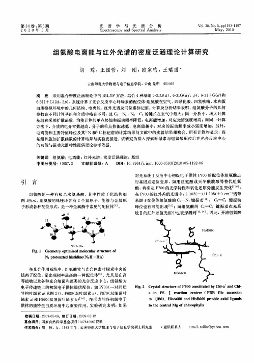 组氨酸电离能与红外光谱的密度泛涵理论计算研究