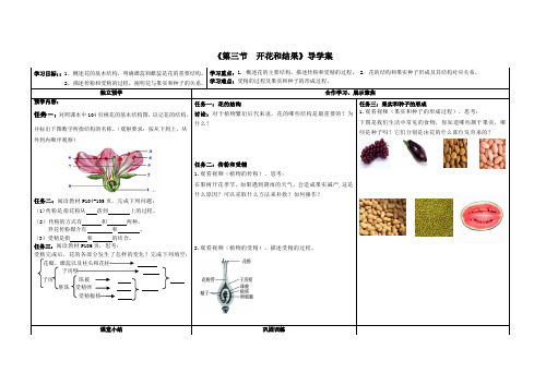 人教版生物七年级上册3.2.3《开花和结果》导学案