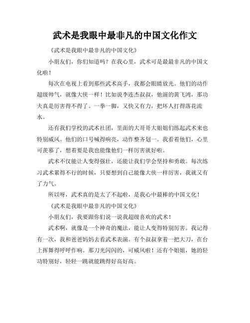 武术是我眼中最非凡的中国文化作文