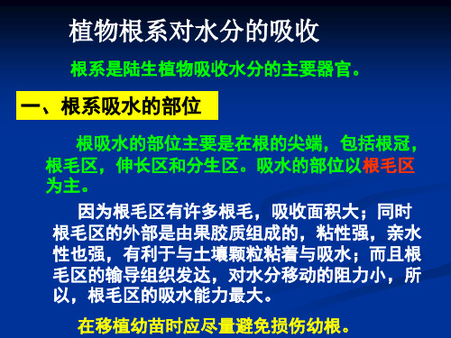 植物根系对水分的吸收